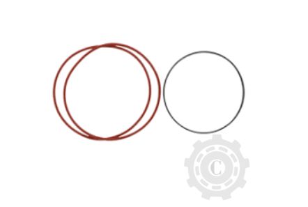 [CP011369] SET INELE JD