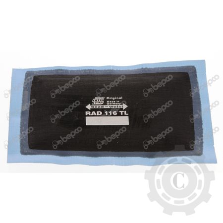 [CP017567] PETIC 116TL