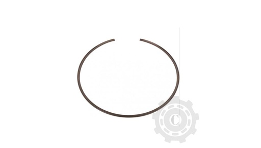 [CP019207] INEL ELASTIC JD