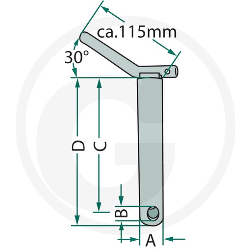 [CP019672] BOLT CAT.3