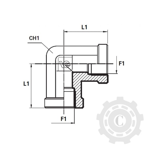 [CP039241] RACORD L FI G04 1/4