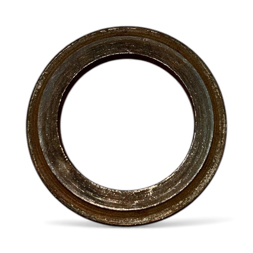 [CP040738] INEL 3817129