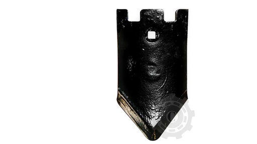 [CP041670] VARF BRAZDAR 56032 016170