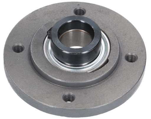 [CP042249] FLANSA 662624