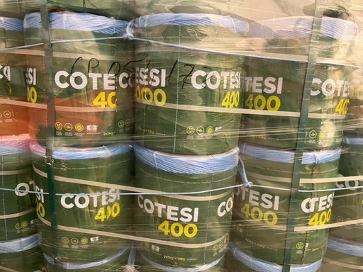 [CP054172] SFOARA DE BALOTAT 400 COTESI