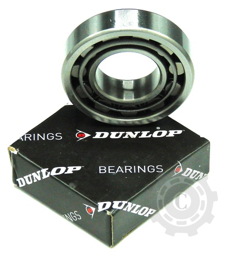 [CP054195] RULMENT DUNLOP NJ206JP6