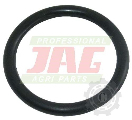 [CP055035] INEL O U11017