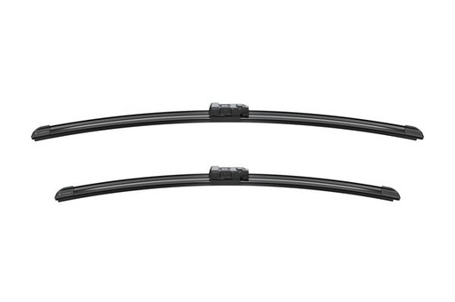 [CP055181] SET LAMELE STERGATOR BOSCH