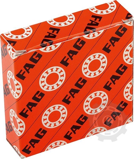 [CP055573] BUCSA FAG H2307