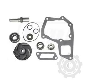 [CP057209] KIT POMPA APA JD