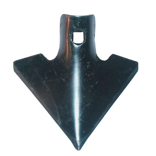 [CP059329] BRAZDAR LABA DE GASCA