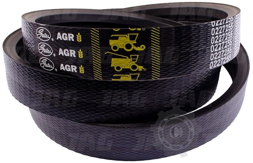 [CP062203] H176766 CUREA GATES